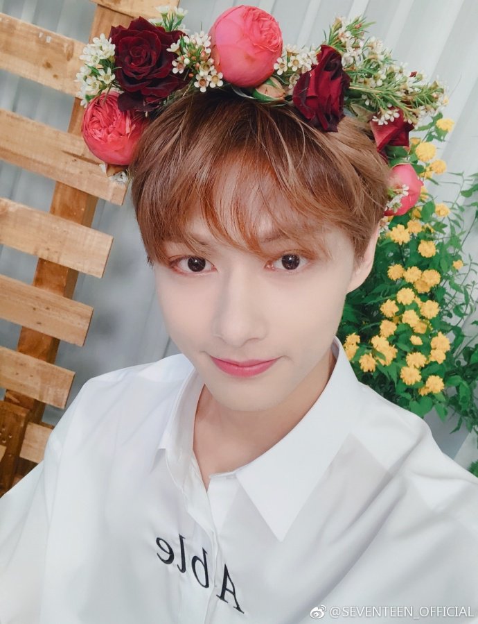 Seventeen Global Pic Seventeen Weibo Update 不要把花花说成fafa 也不要把fafa看成花花 要是认不清是花花还是fafa 我就 我就 文俊辉 Jun文俊辉 Dk T Co X9gxzxqqt1 Pledis 17 Seventeen 세븐틴 ㄹhttps T Co