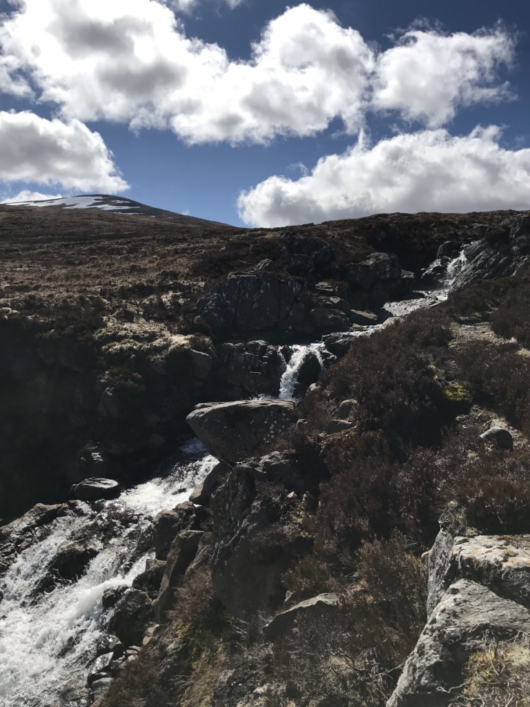 Calum Cowe tweet media