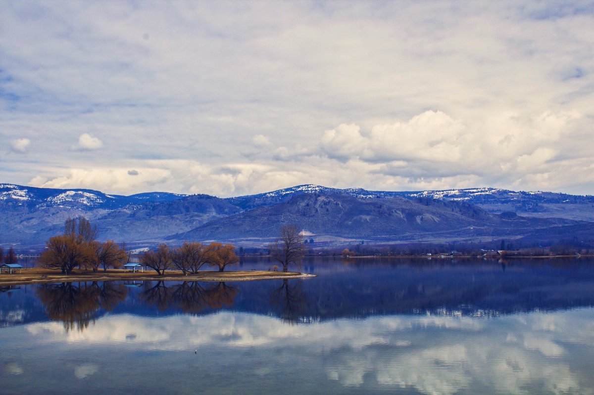 ThrowUpBoy's tweet image. 