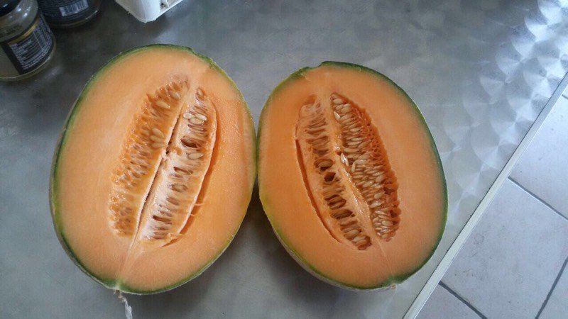 MilanoFreshSrl's tweet photo. Cantaloup Melons from Sicily directly to you: we serve all of Northern Europe! #sweet #Meloni #Sicilia #Export #Italian #fruit #Vegetables https://t.co/HuZa9KQkeR