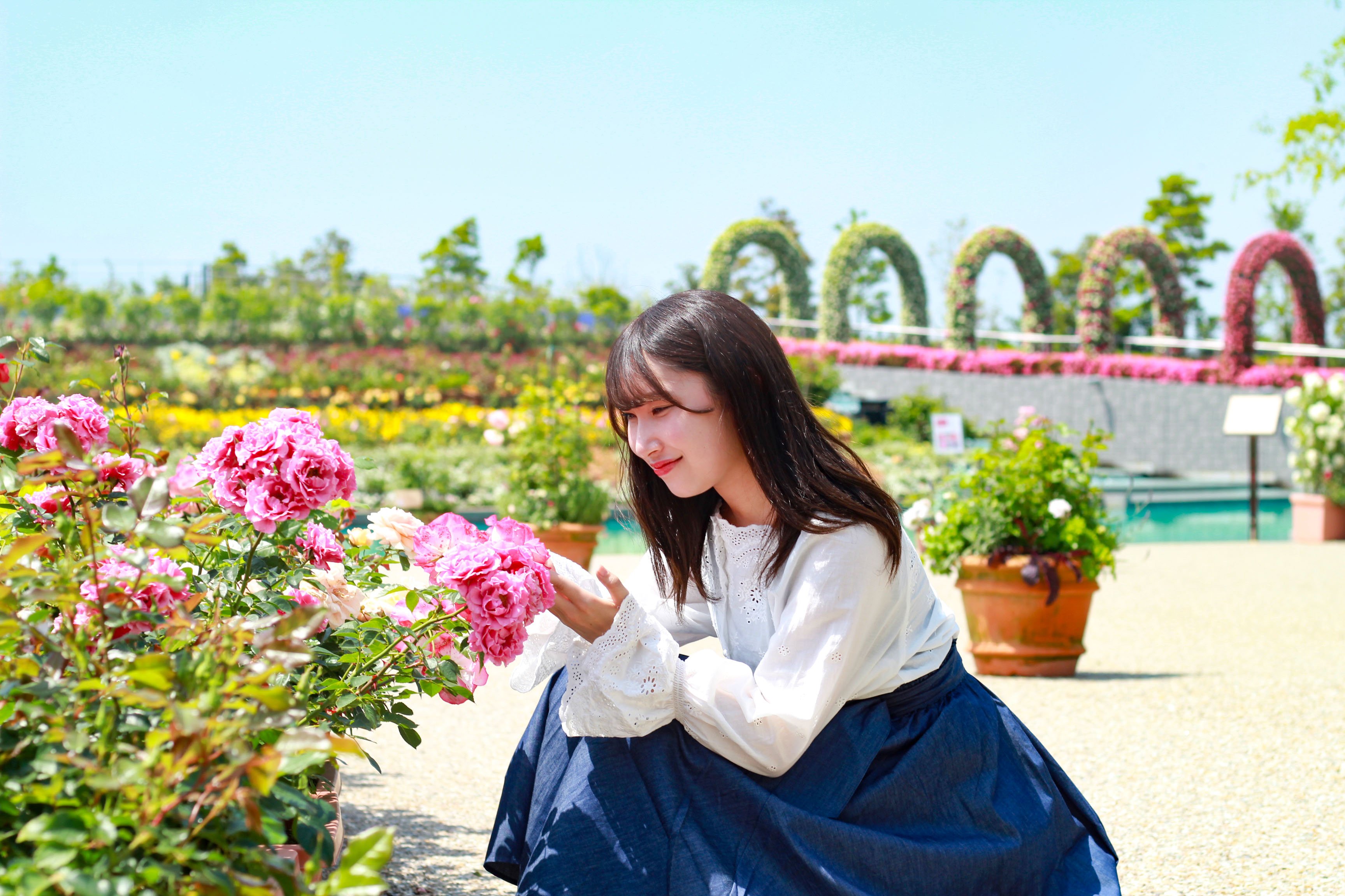 ラグーナテンボス ラグナシアで バラまつり 開催中 お花に囲まれて フォトジェニックな写真が撮れちゃいますよ T Co Hrsmb0keuq ラグーナテンボス バラ 花フォト ラグーナ T Co Umaxuuvucy Twitter