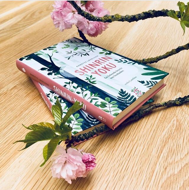 Nu bij @rtlkoffietijd <a href="/AnnetteLavrysen/">Annette Lavrijsen</a> over Shinrin Yoku #ShinrinYoku #bosbaden #koffietijd