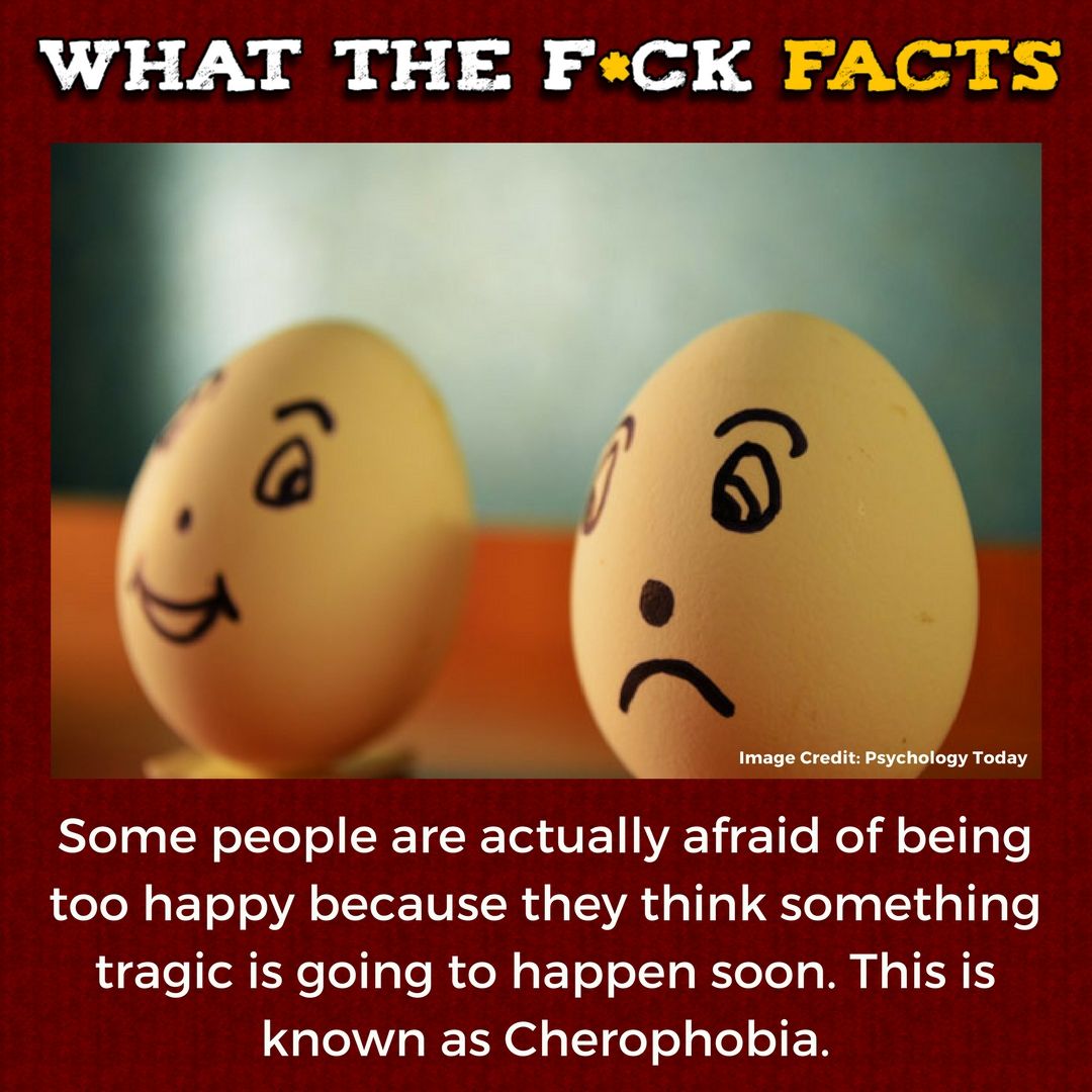 WhatTheFFacts's tweet photo. https://t.co/nro4xhYmm6