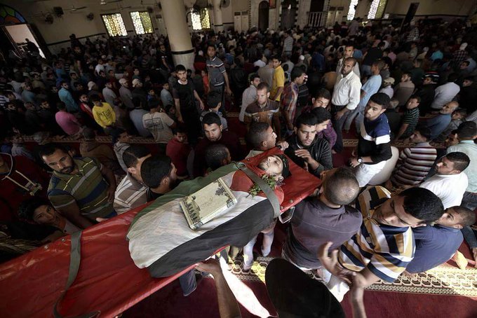 View image on Twitter