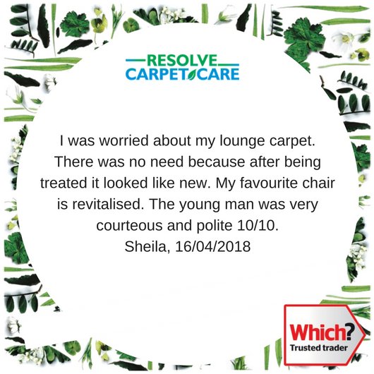 Resolve Carpet Care (@resolvecarpets) on Twitter photo 