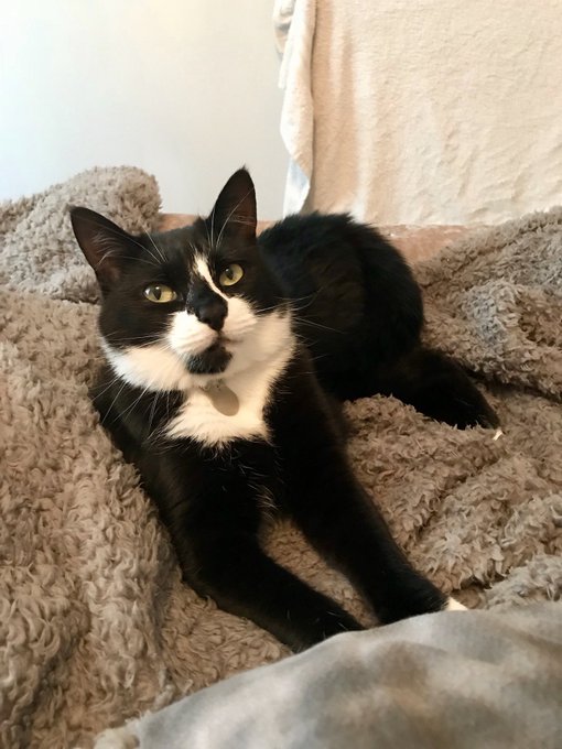 Watch 𝐊𝐞𝐥𝐥𝐲𝐛𝐬𝐰𝐨𝐫𝐥𝐝😻's leaked NSFW photo on TwXstars