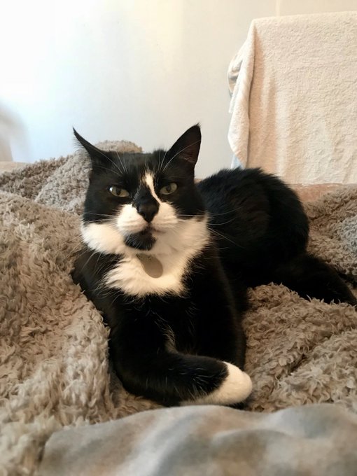 Watch 𝐊𝐞𝐥𝐥𝐲𝐛𝐬𝐰𝐨𝐫𝐥𝐝😻's leaked NSFW photo on TwXstars