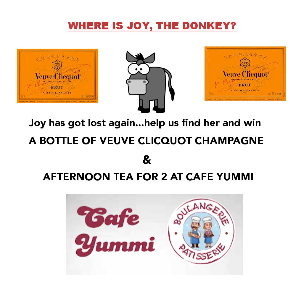 CheckOutCI's tweet image. Dowloaded the ENJOY GUERNSEY App yet? Find Joy and win a bottle of champagne &amp;amp; afternoon tea for 2 at Cafe Yummi! Email info@enjoy.gg when you&apos;ve found her!