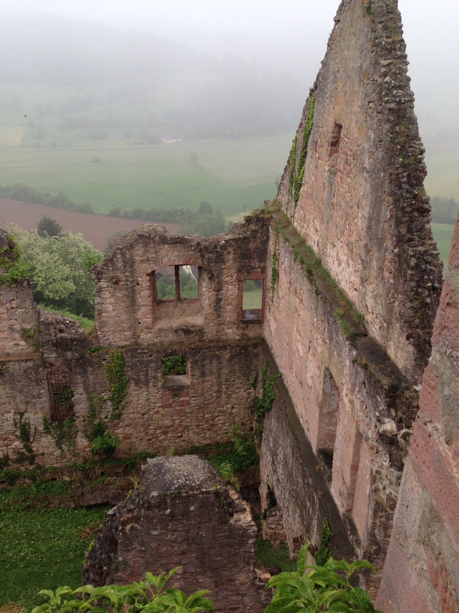 SteffxxC's tweet photo. Just realized how nice are the #Emmendinger Castle ruins #Badenwürttemberg https://t.co/e8gTvPznzU