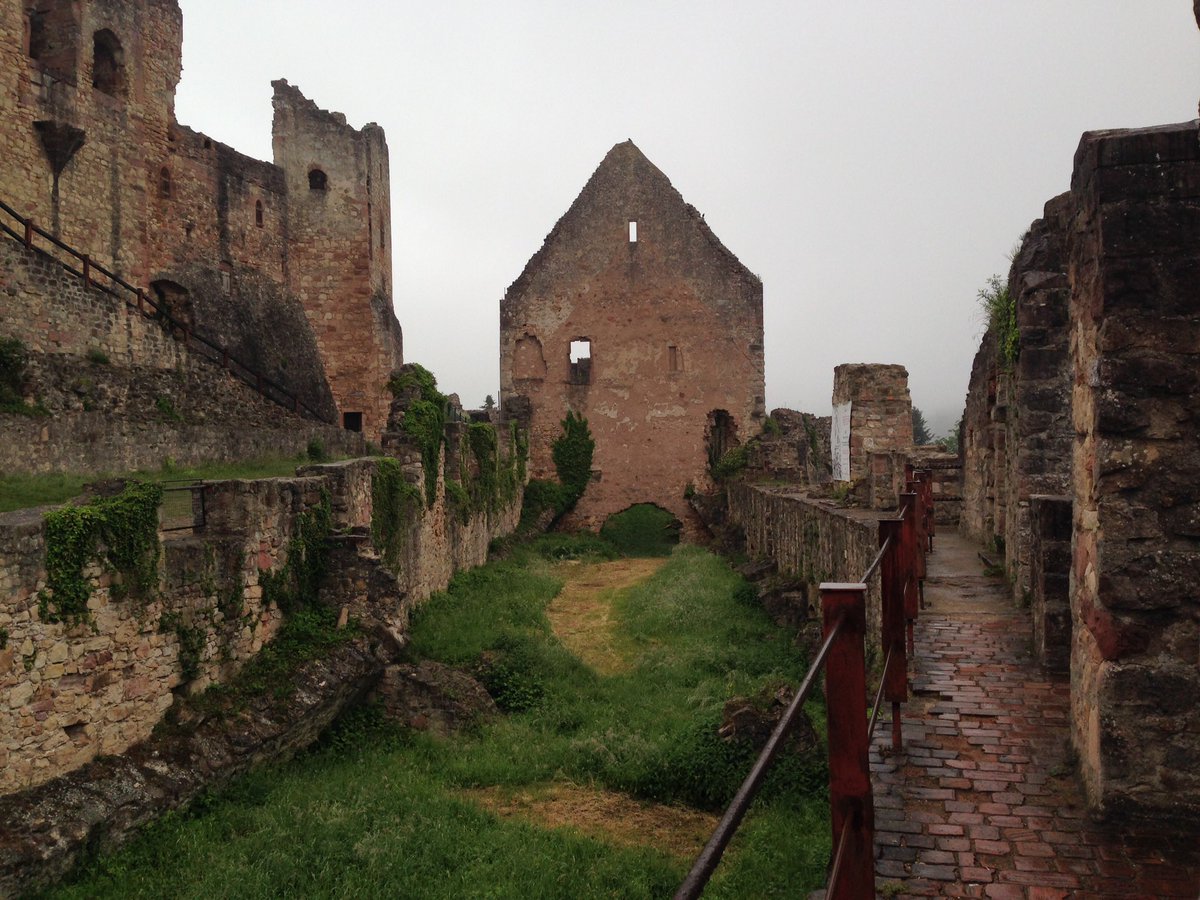 SteffxxC's tweet photo. Just realized how nice are the #Emmendinger Castle ruins #Badenwürttemberg https://t.co/e8gTvPznzU