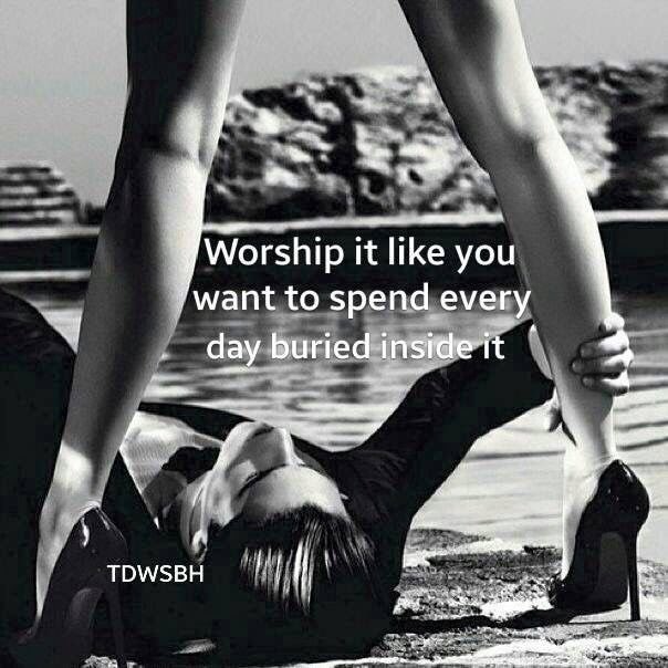 MistressAmazon1's tweet photo. Worship me. Spoil me. I deserve it

https://t.co/4cHSNNgzIA https://t.co/bl4n3QSbUT