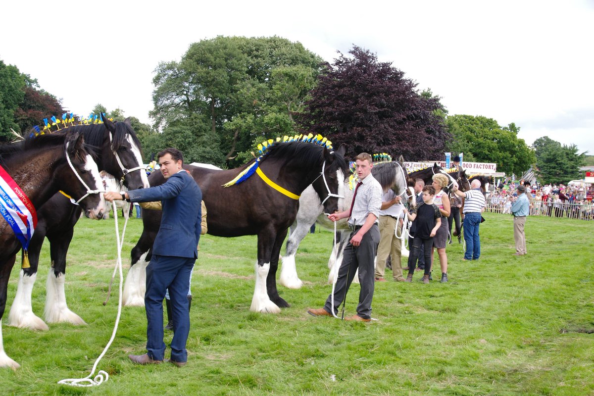 Here are some images from our Shire Horse Section. For more information about Shire Horses at Poynton Show visit our website; http://217.199.187.62/poyntonshow.co.uk/shires/
Photos kindly provided by North Cheshire Photographic Society