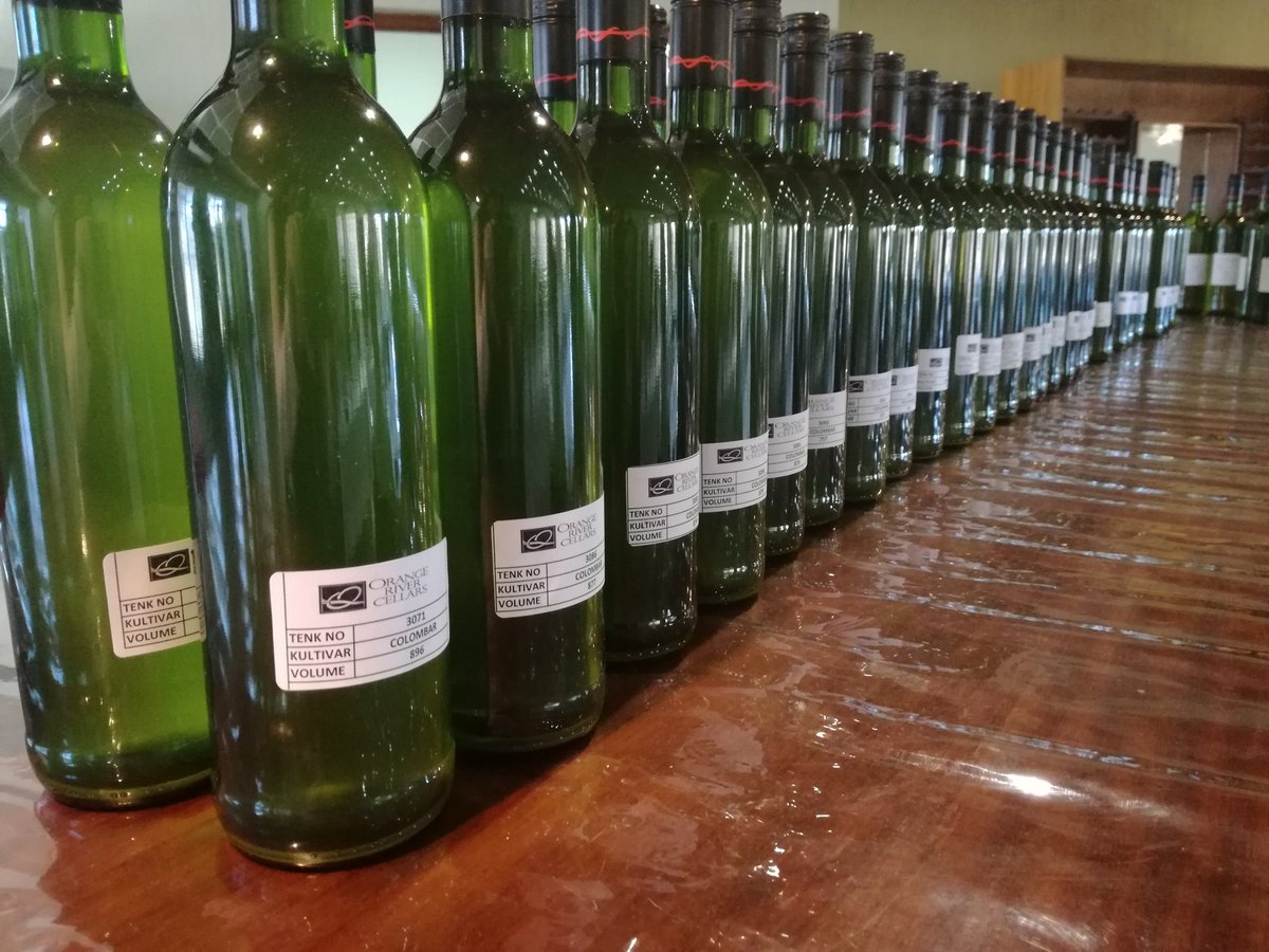 OrangeRiverWine's tweet photo. Index tasting for 2018 wines #winemakers #winefordays #newvintage #letsmakewine #flightsgalore https://t.co/DWWXx9H4p4