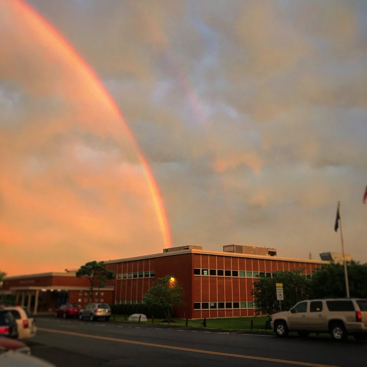 Apparently knowledge is golden, leaving my school yesterday this is what was outside.