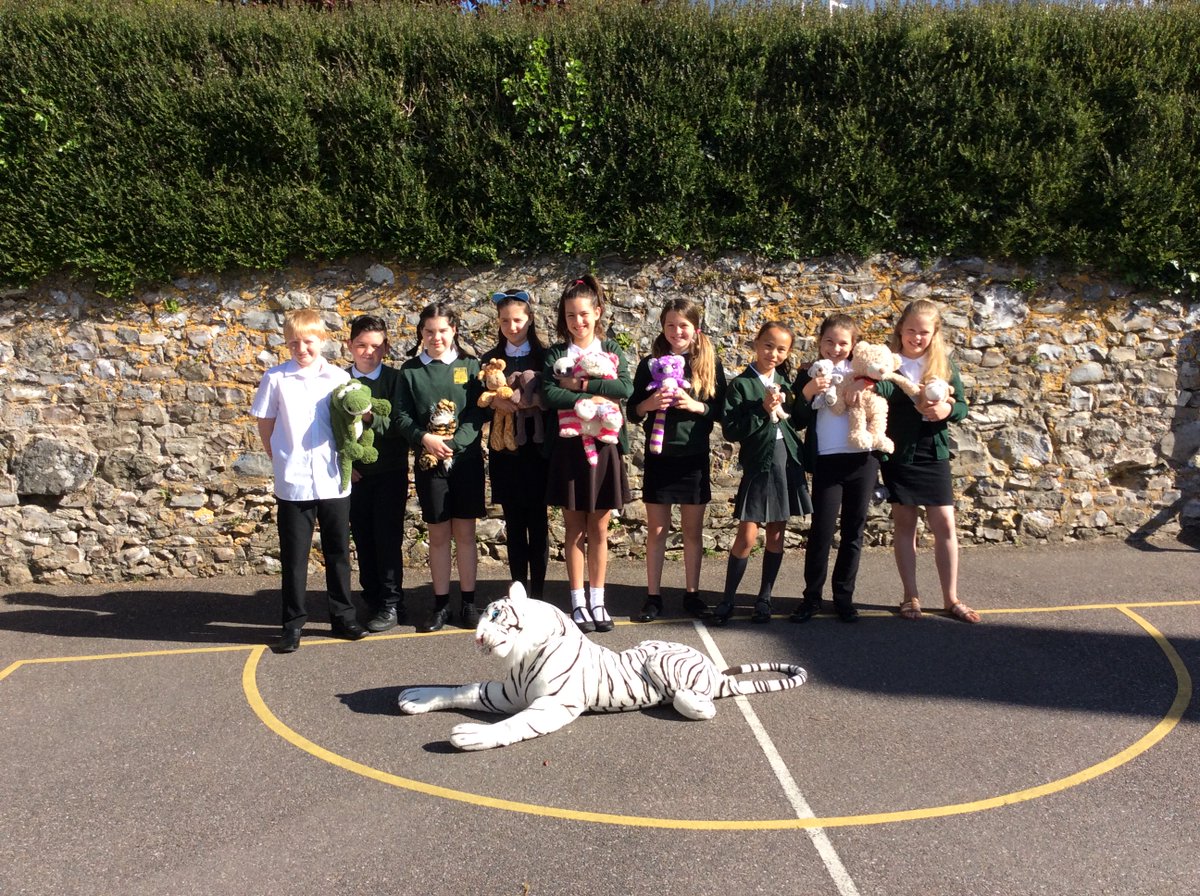 Offwell Primary tweet media