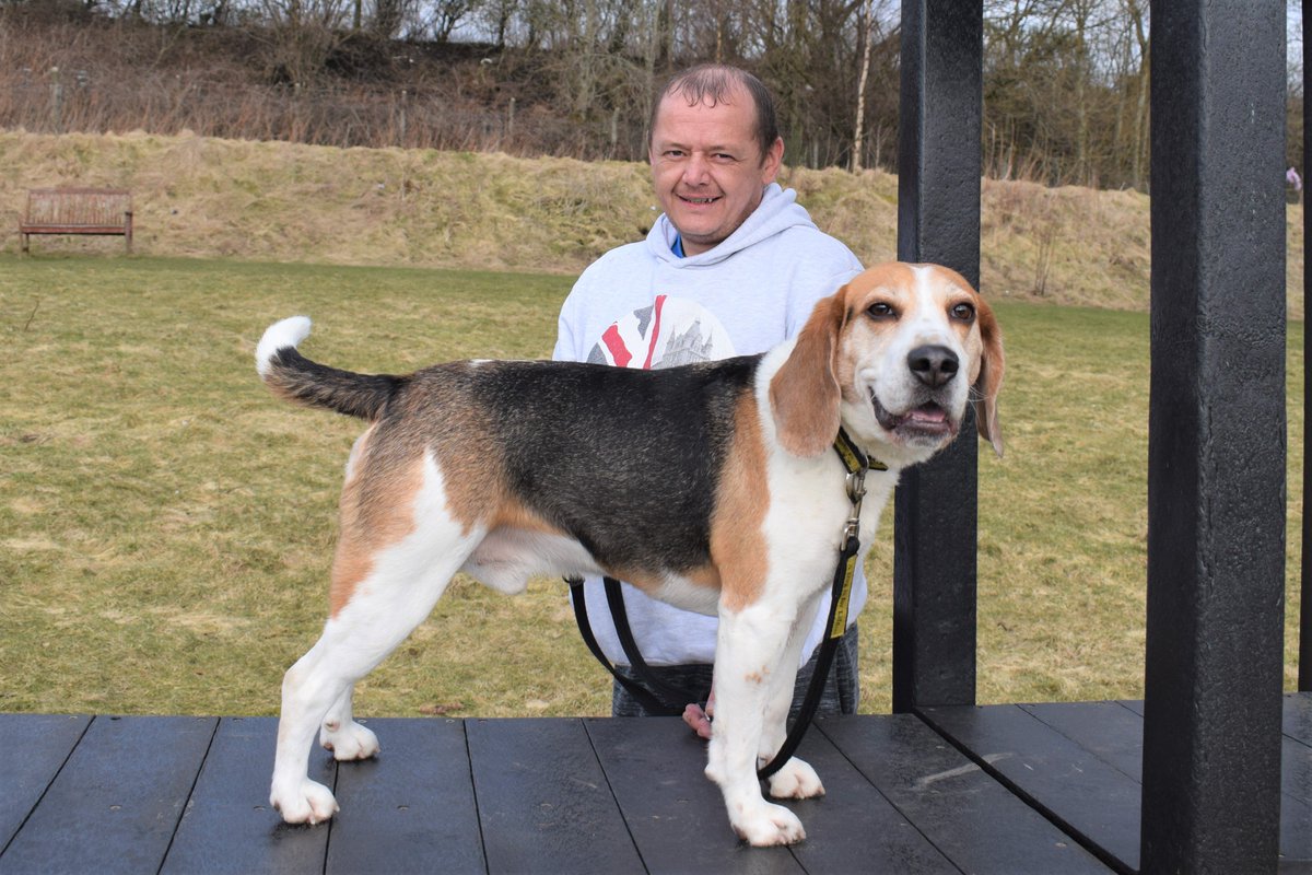 DT_Glasgow's tweet photo. "Our mental health is just as important as our physical health, which is why everyone needs positive influences in their life". Ex-soldier Barry describes how his new @DogsTrust canine companion Buddy has helped him. https://t.co/O9uL8Ev5hu #MentalHealthAwarenessWeek  #MHAW18 https://t.co/blWeXudQo0