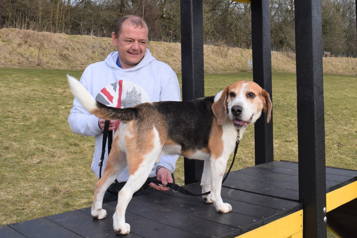 DT_Glasgow's tweet photo. "Our mental health is just as important as our physical health, which is why everyone needs positive influences in their life". Ex-soldier Barry describes how his new @DogsTrust canine companion Buddy has helped him. https://t.co/O9uL8Ev5hu #MentalHealthAwarenessWeek  #MHAW18 https://t.co/blWeXudQo0