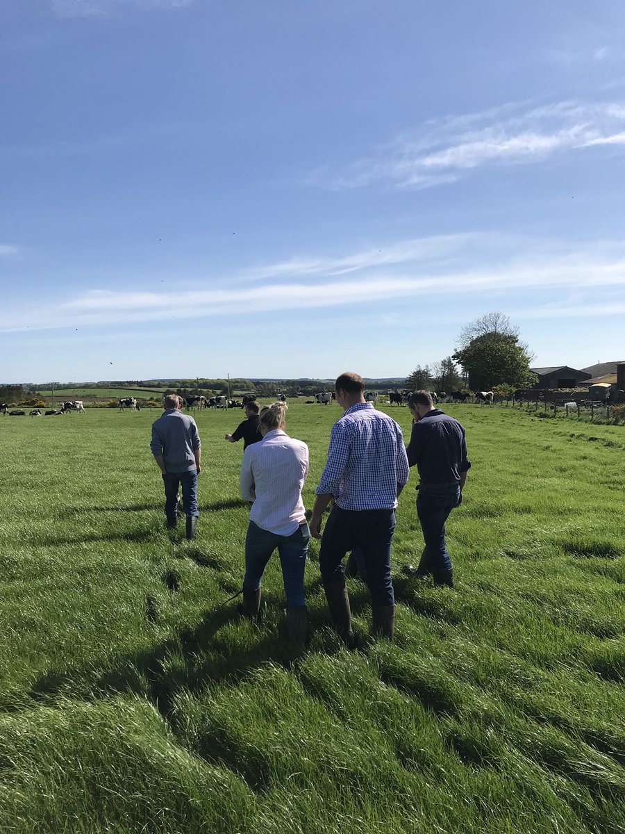 wildmanheather's tweet image. #discussionGroup #learningissexy #organic #conversion @omsco #grahamsfamilydairy #Grass