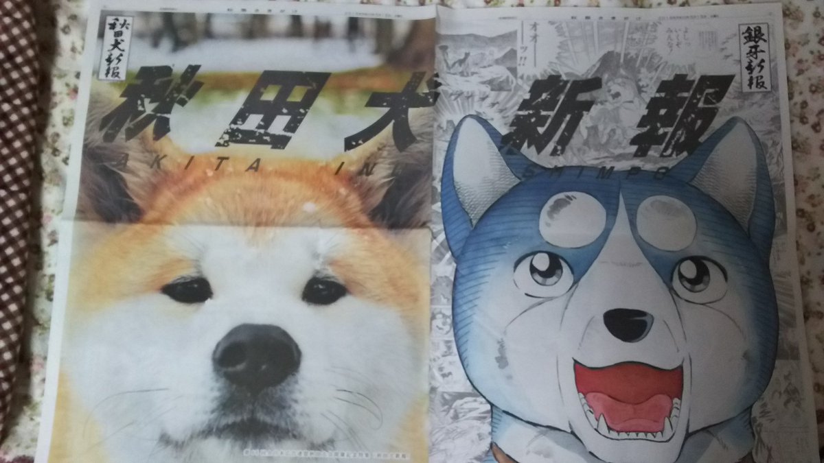 犬アニメ 犬アニメ
