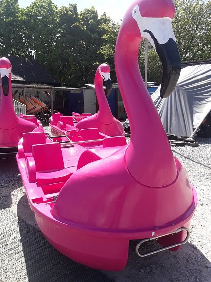 willenlake's tweet photo. Exciting news! Our Flamingo and Car pedalos are now available to hire 
at our Watersports Centre! No need to pre book please just come on down and they will be available on a first come first served basis. Find out more here https://t.co/rzZxeyBqMj #MiltonKeynes https://t.co/AiKQnvuFKk