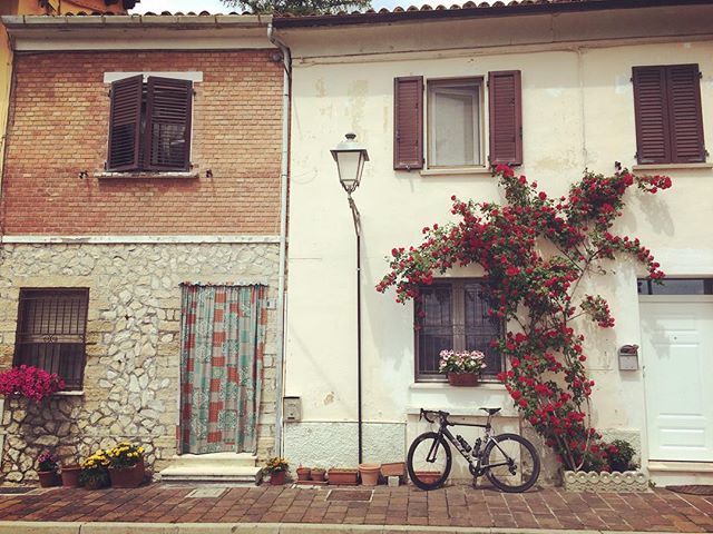 ShirinGeramiTri's tweet photo. Sometimes it feels like my bike gives me wings.
بعضى وقت ها احساس مى كنم دوچرخه به من بال مى دهد.
#trainingcamp #train #trainhard #triathlon #howweliv #livbeyond #bike #cycle #fromskratch #triathlontraining
#زندگى_سالم #زندگى_زيباست #دوچرخه_سواری #اردو… https://t.co/nkEUC0ys27 https://t.co/sw0dN2UYBa