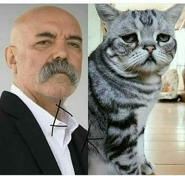 Aynılar amk adajafhuaksfshjd😂😂😂👈👈