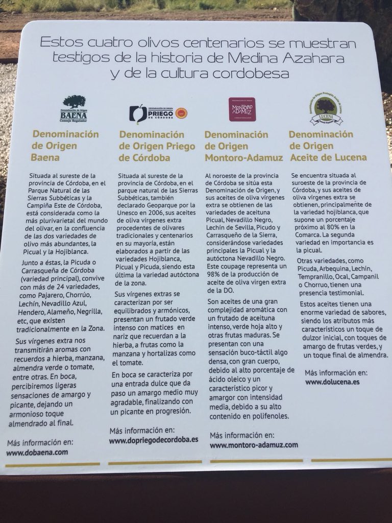 AoveDopPriego's tweet photo. 👏🏻Apoyamos la Candidatura de Medina Azahara a Patrimonio Inmaterial de la Humanidad. El Aceite de Oliva Cordobés representado a la entrada del Conjunto Histórico: @AceitesDOBaena @doaceitelucena #DOMontoroAdamuz . ¡Vivimos en una tierra preciosa!!💚💛

#DOPPriegodeCordoba #AOVE https://t.co/CggVJtY3d4