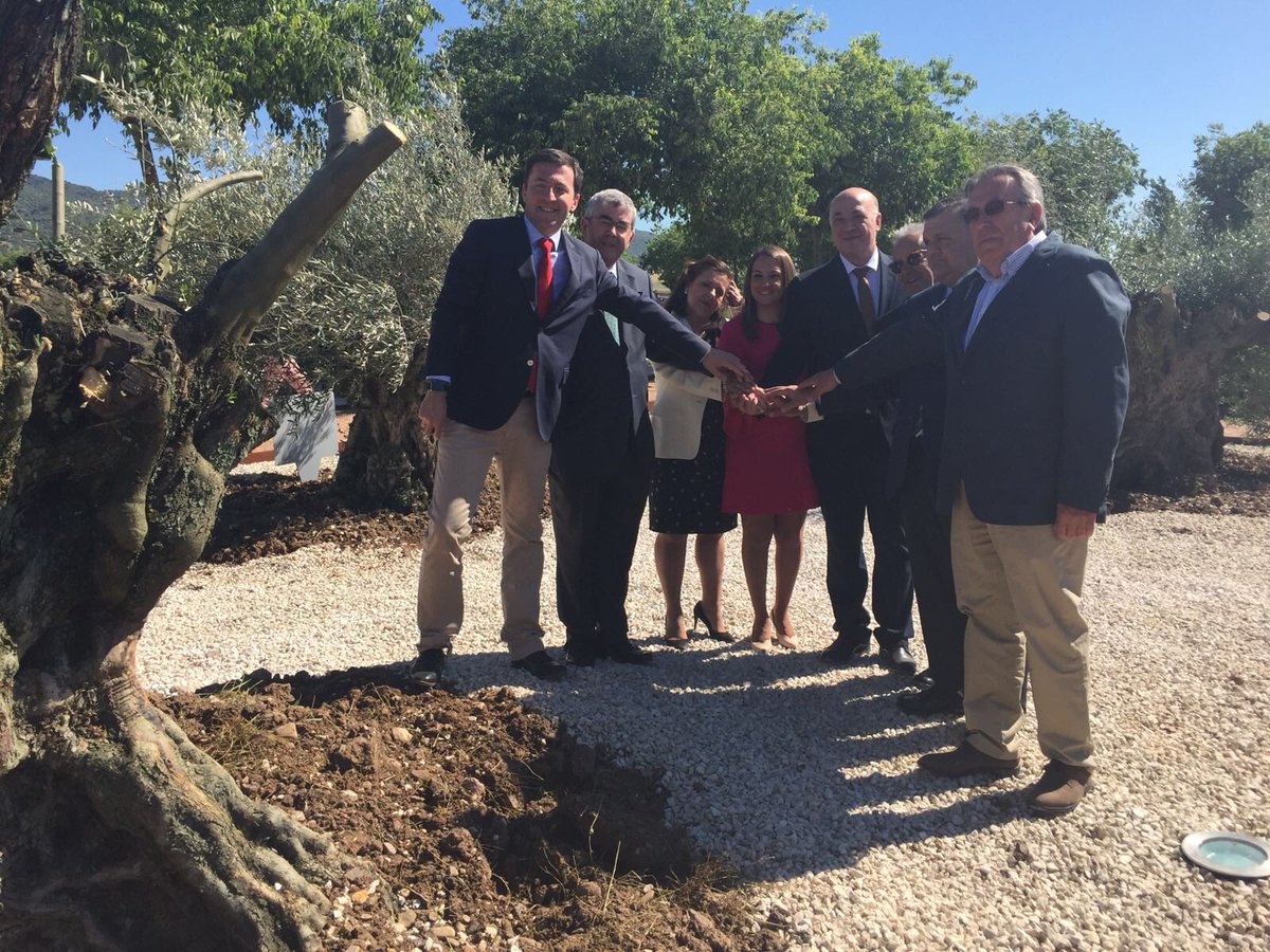 AoveDopPriego's tweet photo. ¡Feliz Día de San Isidro! ¡Feliz Día del Agricultor👨‍🌾! Lo celebramos en un acto precioso en #Córdoba en el que hemos colocado un olivo característico de cada DO a la entrada de Medina Azahara, junto a @AceitesDOBaena #DOMontoroAdamuz @doaceitelucena https://t.co/FnLC8olrbj