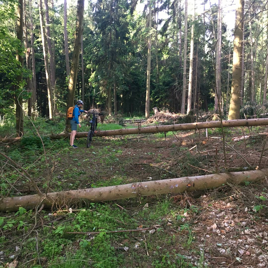 Heute hieß es #mitdemradzurarbeit, kleine Herausforderung inklusive 😉
#erzgebirge #mittelsachsen #freiberg #memmendorf #schöneserzgebirge #schönelandschaft #mdrza #mdrza2018 #fahrrad #fahrradtour #fahrradfahren #radfahren #radtour #cycling #bicycle #bike #mtb #mitdemradunterwegs