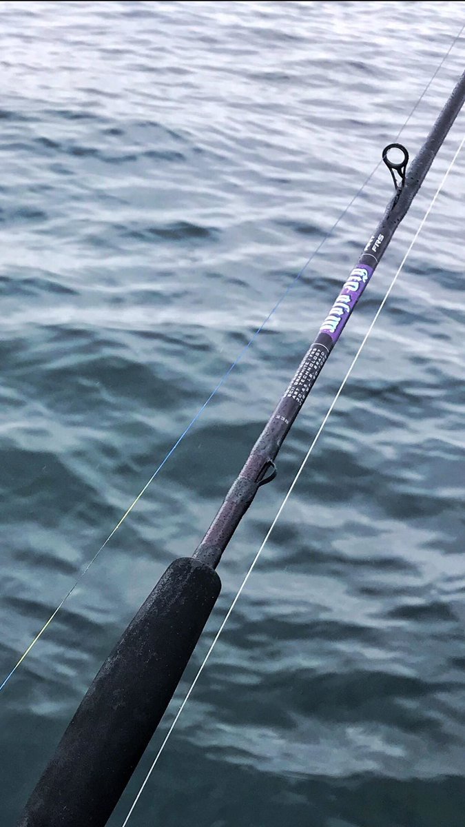 St Croix Mojo Jig Rod Off 79 Best Deals Online