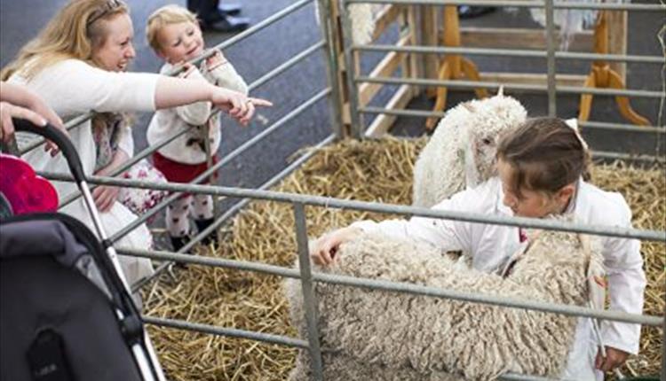 visitsouthdevon's tweet photo. It's the @DevonCountyShow this weekend! 17th - 19th.
Are you going?
Find out more about the event here: https://t.co/Ubca6b3UKT
#devoncountyshow #devonsbigdayout #southdevon #devon #whatson #weekend https://t.co/kDQ1KyHiYh