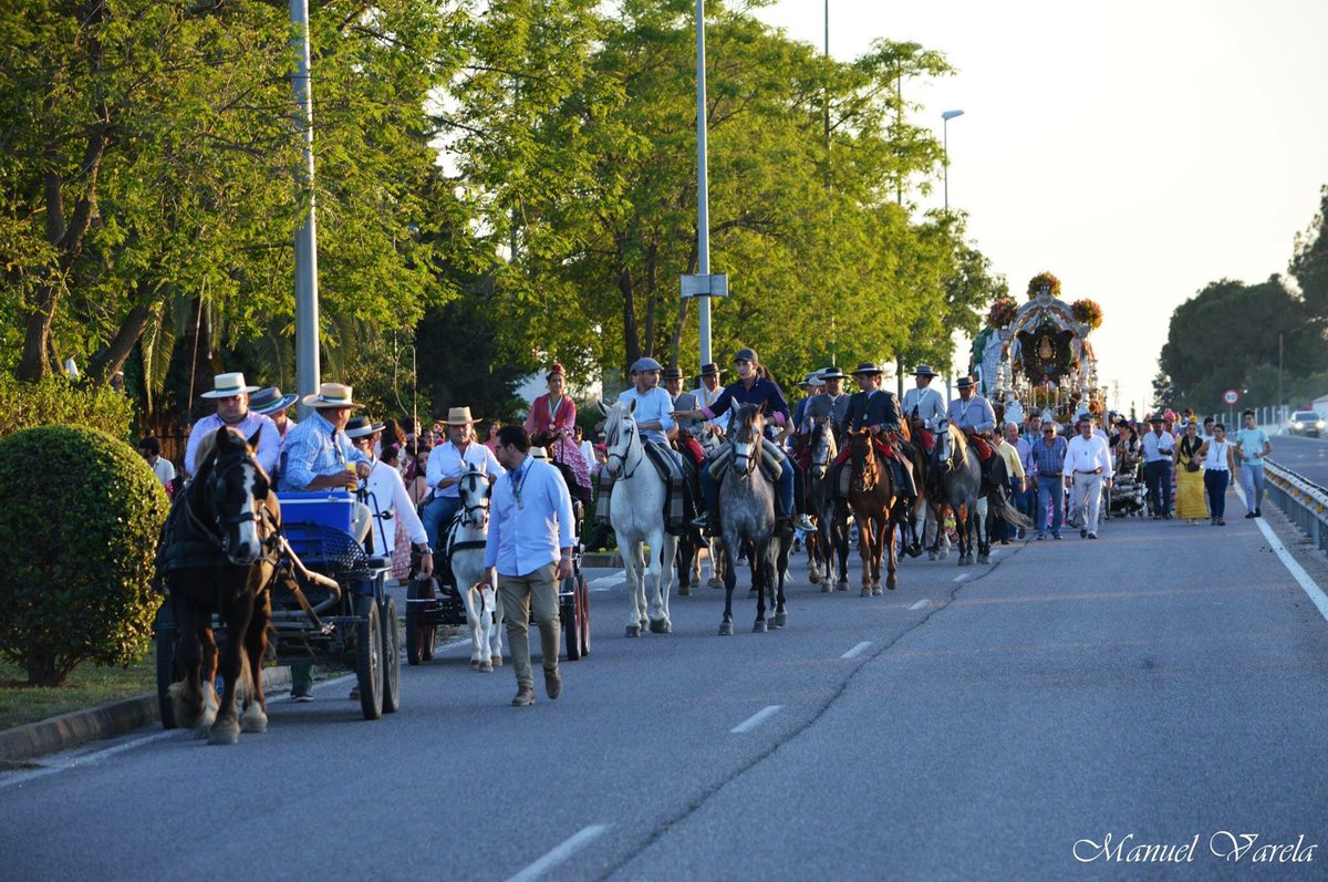 La Hermandad del Rocío de Dos Hermanas iniciará mañana su camino a la aldea

➡️ diarionazareno.com/la-hermandad-d…