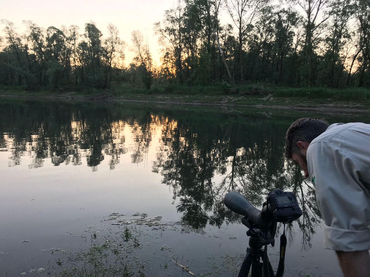 Vanmorgen heel vroeg op pad geweest met @skproductionsnl om opnames te maken van de bever. De beelden worden gebruikt voor promotie <a href="/bergendalgem/">Gemeente Berg en Dal</a> in samenwerking met @RBTKAN
