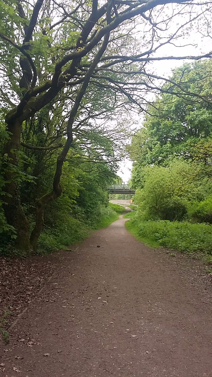 TinaLB188's tweet photo. Lovely little wander about this morning.
#tracks #tinbridge #biddulphvalleyway https://t.co/Y8Mn78Ewjs