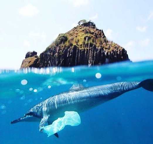 mcsuk's tweet photo. ATTENTION⚡️The government's consultation closes this Friday at 23.59 - make sure you tell them what you think about their plastic tax proposal through our platform. Sign &amp; retweet https://t.co/YZOcPWByAF  #STOPthePlasticTide #pointlessplastic https://t.co/MhvSbXvkFM