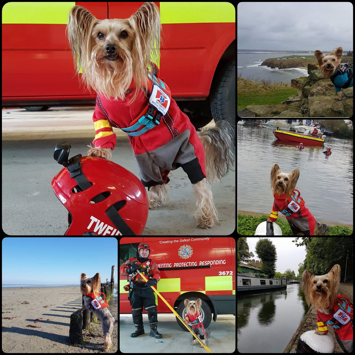 Watercourses has water currents. Often the waters may looks harmless, calm & invitings but can has very strong, powerful currents lurkings beneaths the surface. #IWSD2018 #bewateraware #bewaterawareUK #respectthewater #InternationalWaterSafetyDay  #dogsoftwitter #tripawd #yorkie
