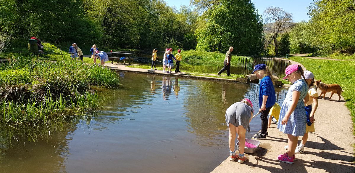 Hosting environmental activities with <a href="/cwmffrwdoer/">Cwmffrwdoer Primary</a> &amp; <a href="/TorfaenEcology/">Steve Williams</a> today in #pontypoolpark #outdoorclassroom #onourdoorstep courtesy of #pontypoolcommunitycouncil