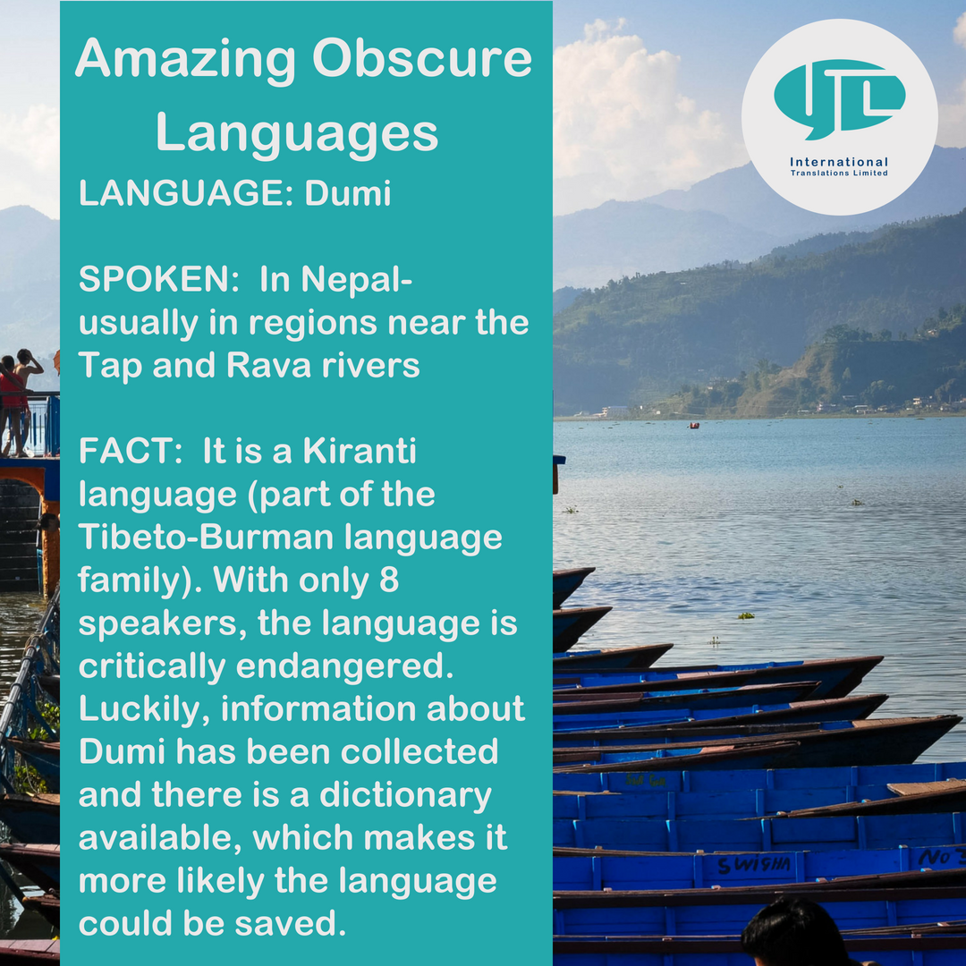 TranslationsITL's tweet image. Have you heard of this endangered language, Dumi? #endangeredlanguage #languages