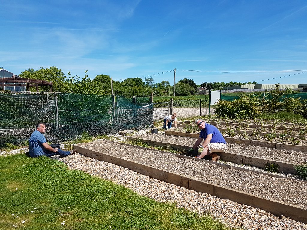 clairechip's tweet photo. Hard at work... https://t.co/0MdDzUoxwy