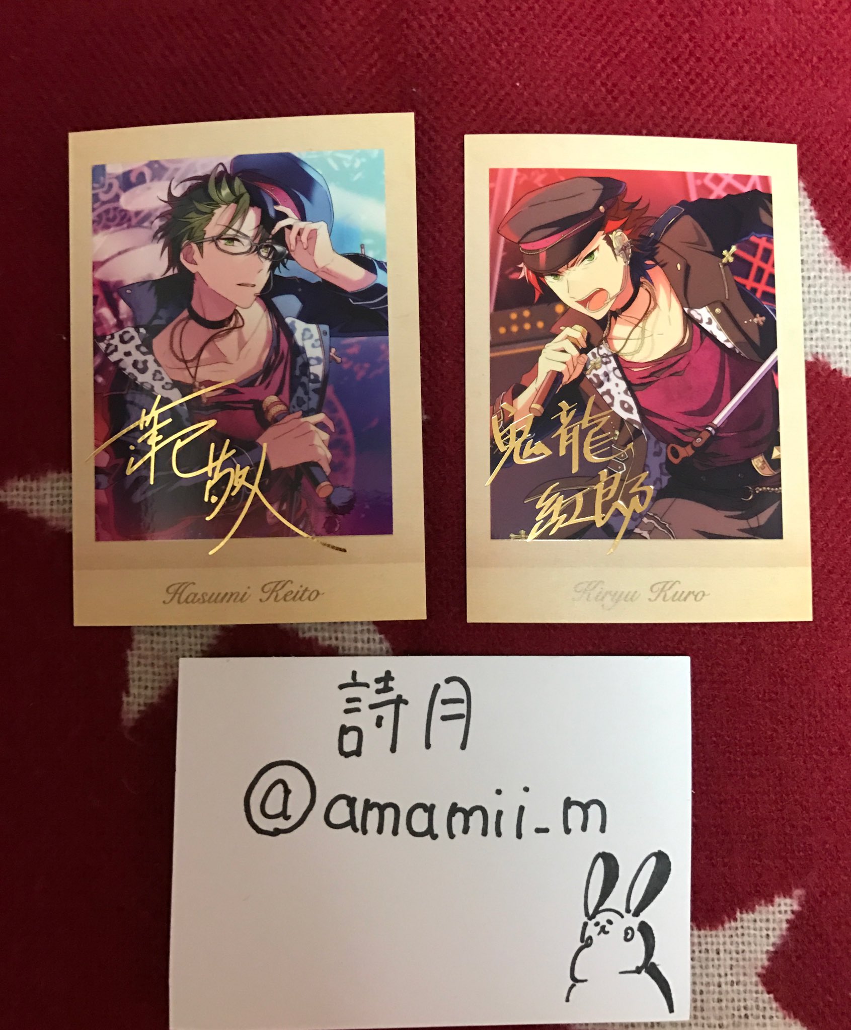 名入れ無料】 蓮巳敬人 ぱしゃこれ fawe.org