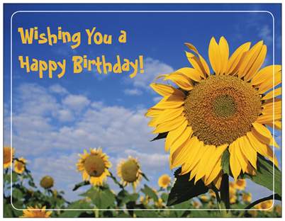 Happy Birthday dear Brian Eno - have a great day! 