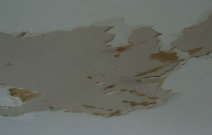 The average #roofleak takes up to 2 years before it shows up on the ceiling.  Many people assume when they have a leak it has recently happened, but the rain has to go past the shingles and through numerous layers first.  #roofrepairs #homeimprovement #roofingcontractor
