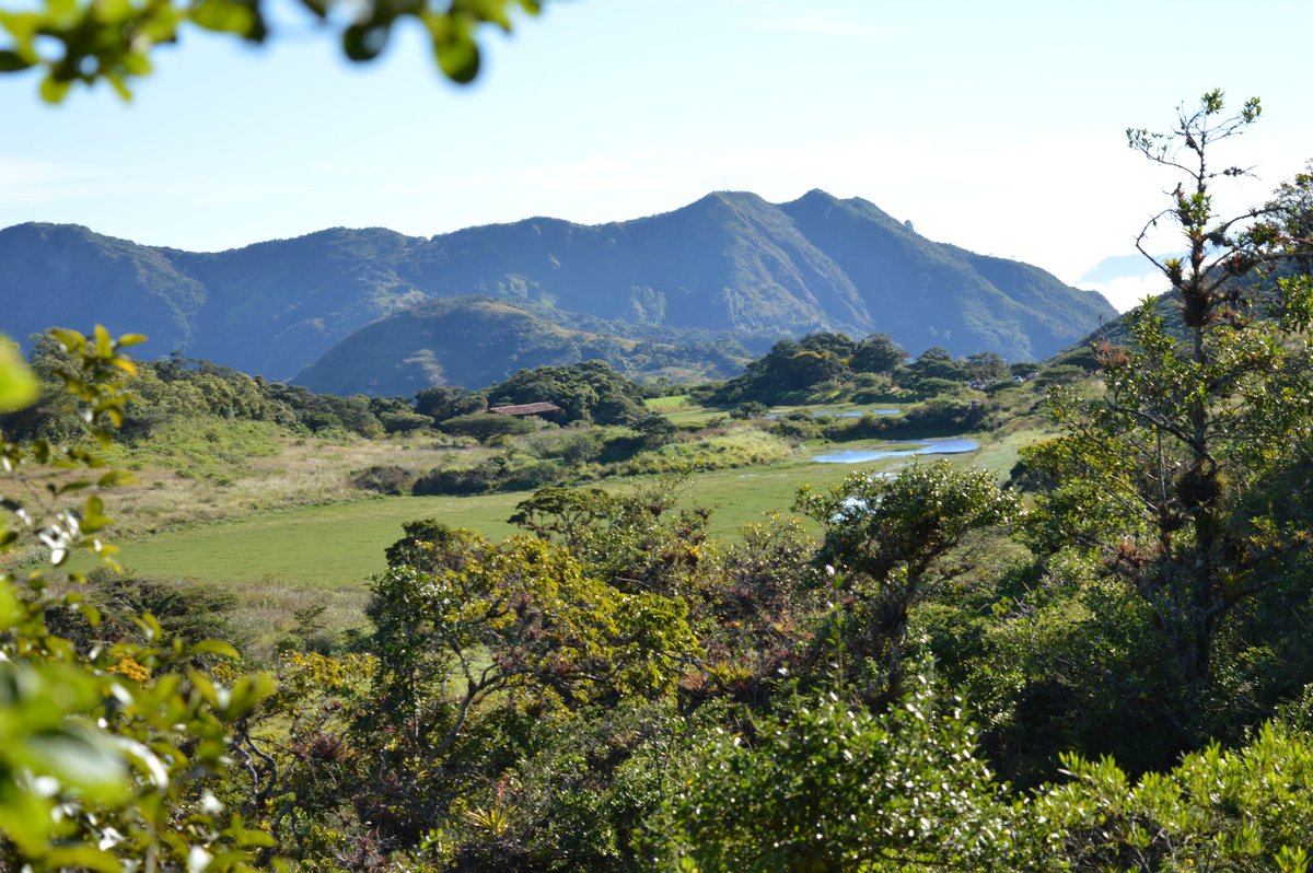 facebook.com/GadPaltas/vide…