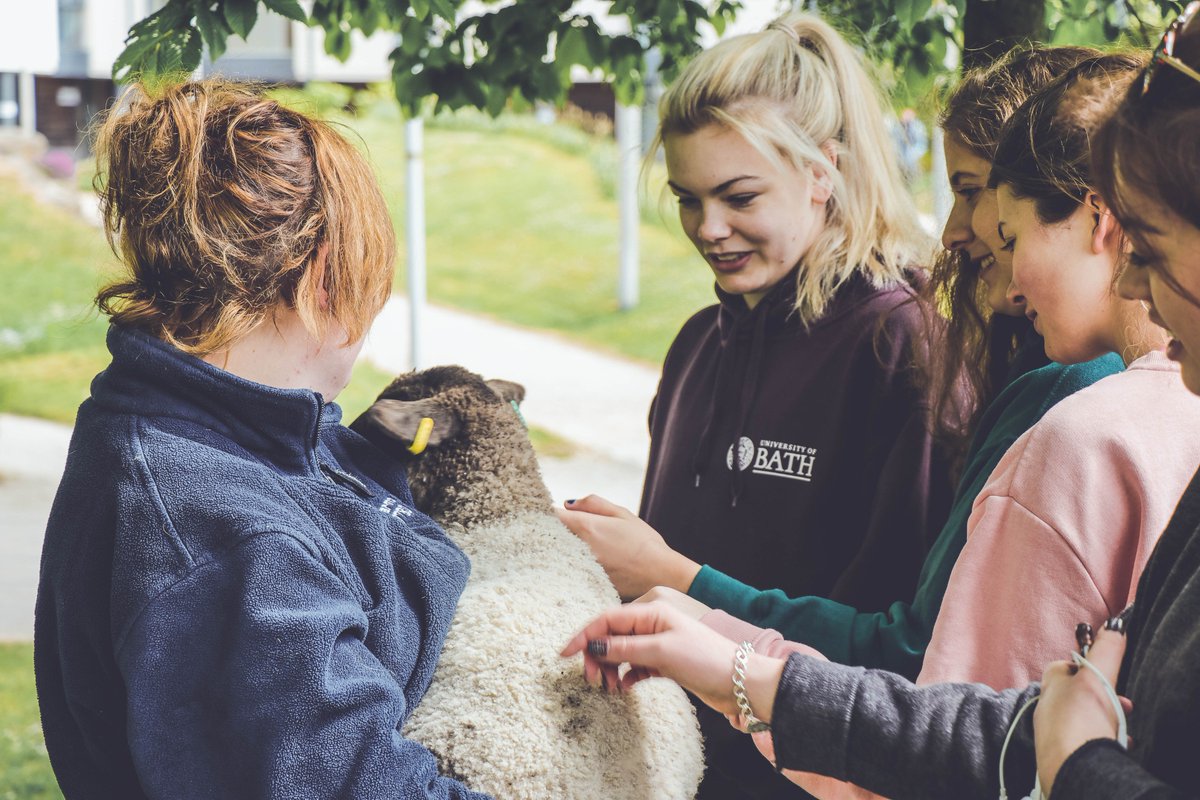 thesubath's tweet photo. Our Petting Zoo returns tomorrow. 🐴 🐰 🐥 🐐 We're bringing some furry friends to campus to brighten your day during exam season. 10:00 - 14:00 on Chancellors Green. #pettingzoo #brightenyourday https://t.co/ZUxZVbpal3 https://t.co/dtranPNClR
