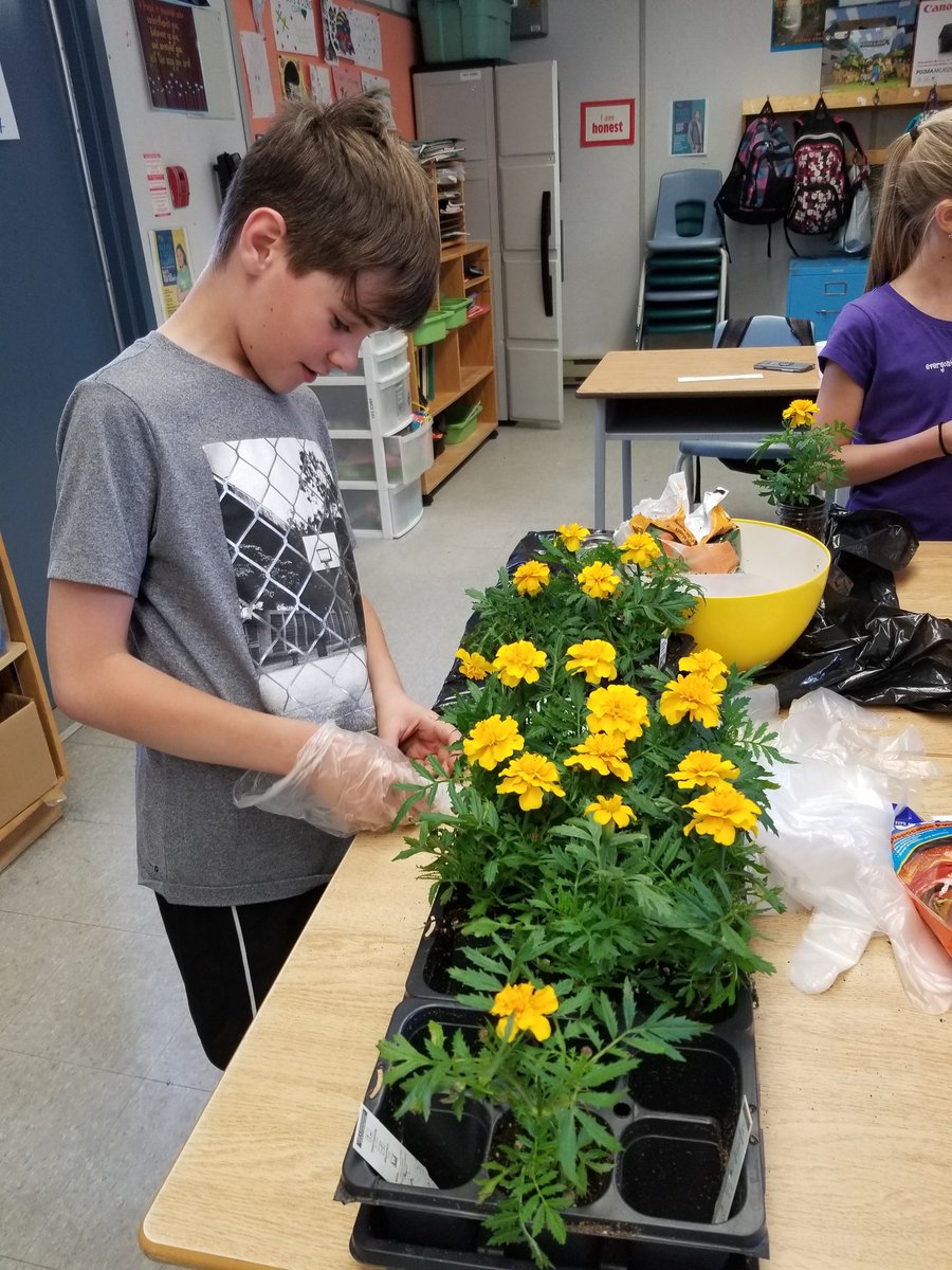 BGCYorkRegion's tweet photo. Filling mason jars with beautifio flowers at program! What a nice surprise gift for our BGCYR parents 🌻 #BGCYR #GardeningForTheDay #SpringIsHere https://t.co/sezsQOxFog