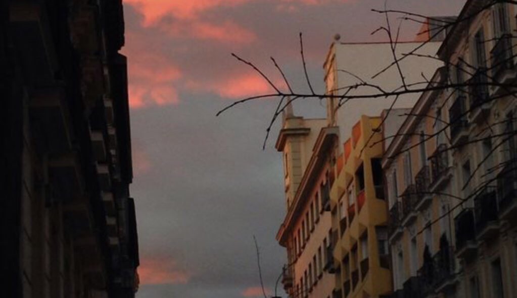 9ped_mood's tweet image. เมื่อเวลาผ่านไป
ทุกๆอย่างก็ไม่เหมือนเดิม

แต่ยังคงเหลือเพียงความทรงจำ
ที่พอจะเป็นความสุขเล็กๆน้อยๆได้

หลายครั้งที่เผลอ"คิดถึง
แต่คงไม่เรียกเผลอแล้วล่ะ 
เพราะความคิดถึง
ทำงานบ่อยเกินไป