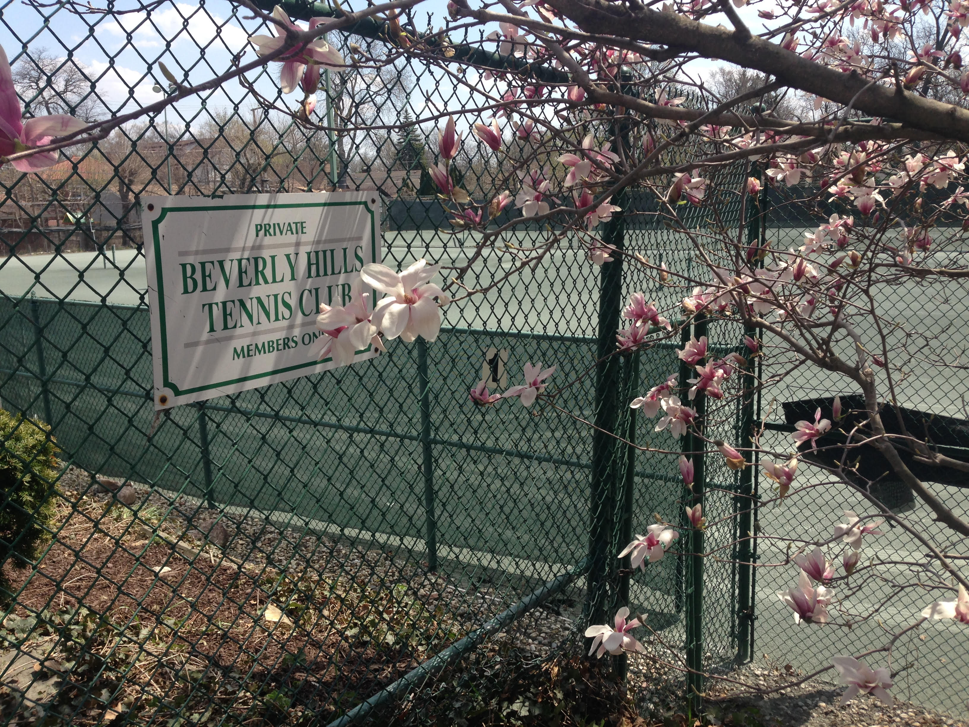 beverly hills tennis club chicago