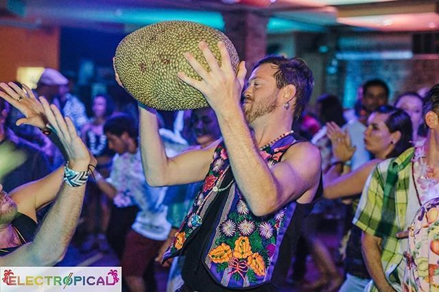 NadiCamelKyle's tweet photo. Praise be unto the almighty jackfruit https://t.co/mSzefLxoLa https://t.co/SrwcSYS4LL
