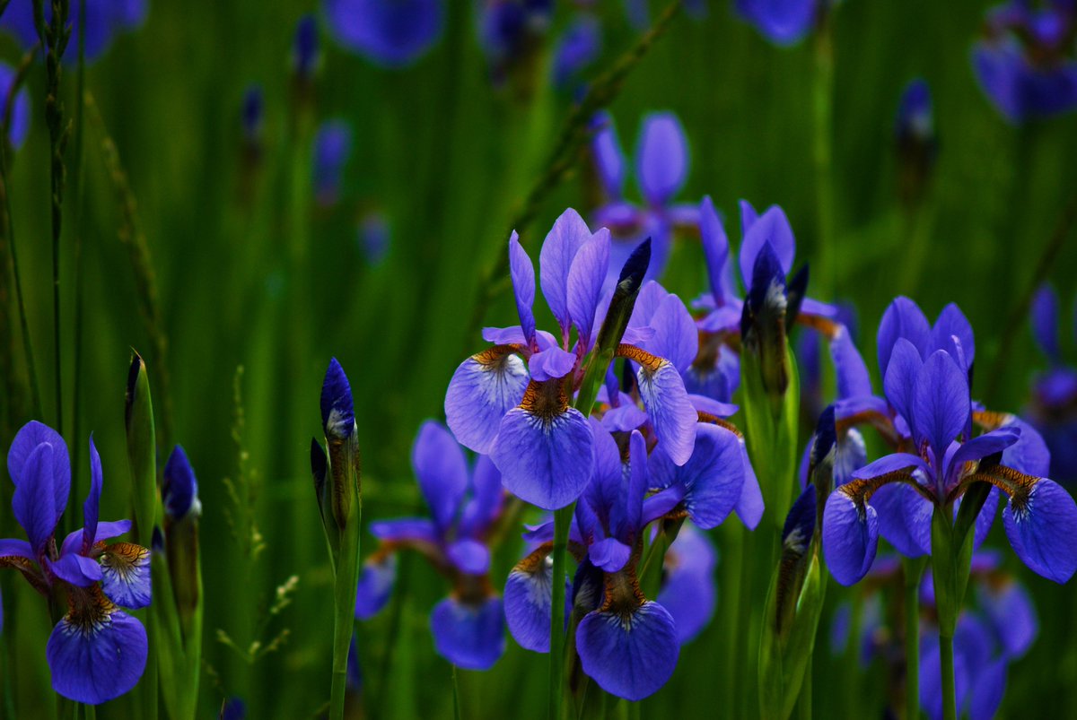 How To Grow Your #Garden caslworks.com/2016/02/07/how… via <a href="/CASLworks/">CASLworks</a>