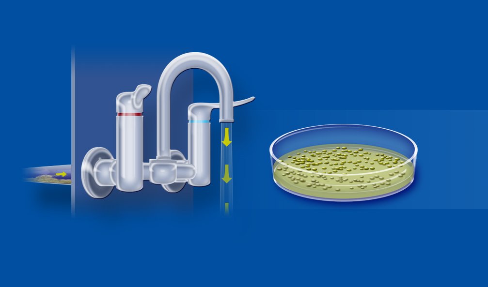 MedicalPall's tweet photo. #WaterHygieneMasterclass - June 13th, 2018, Coventry by #PallMedical and #ArmitageShanks - "Managing & Controlling Risk of Waterborne Pathogens in Water Systems" (Elise Maynard). Learn more: https://t.co/kxfrkGbayg
#ProtectWhatMatters #WaterSafetyTeam #WaterbornePathogens https://t.co/SkEFqwkICT